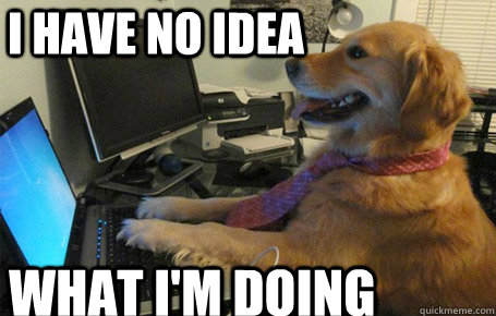 i have no idea what i'm doing